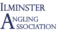 Ilminster Angling Association Logo